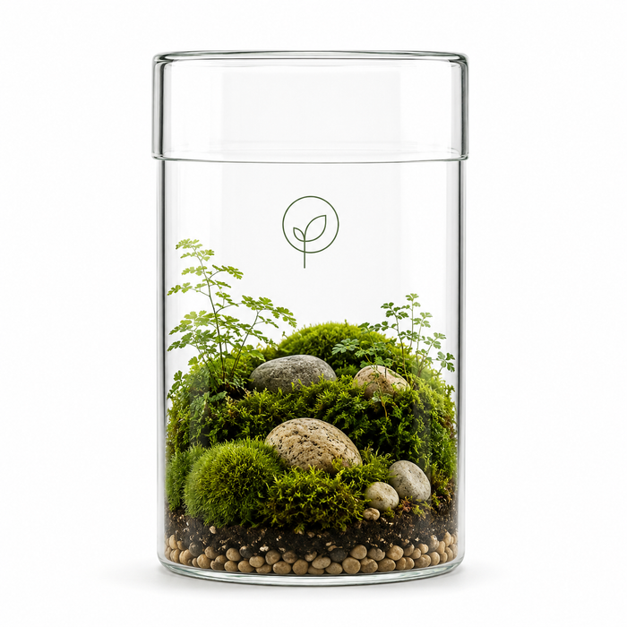 Glass Lid Terrarium