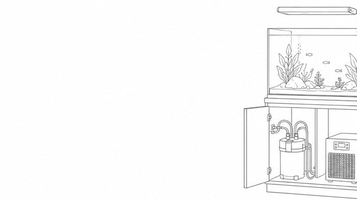 Planning Your Setup