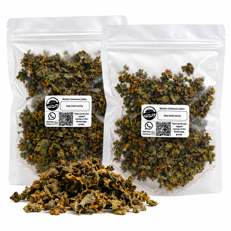 ISOBRO Nostoc Commune (25g)