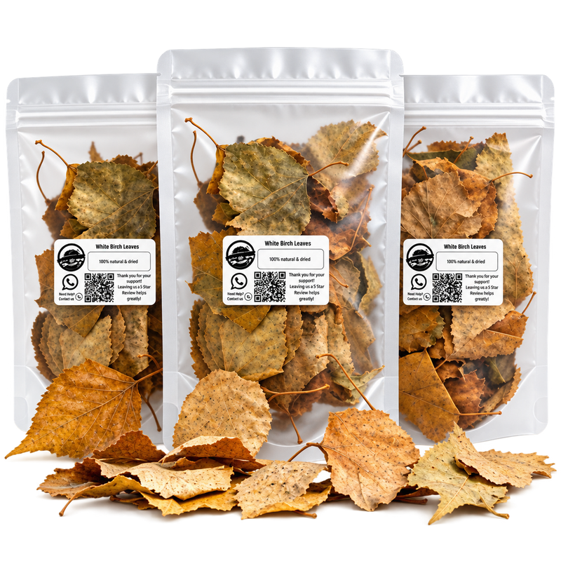 ISOBRO White Birch Leaves (20pc)