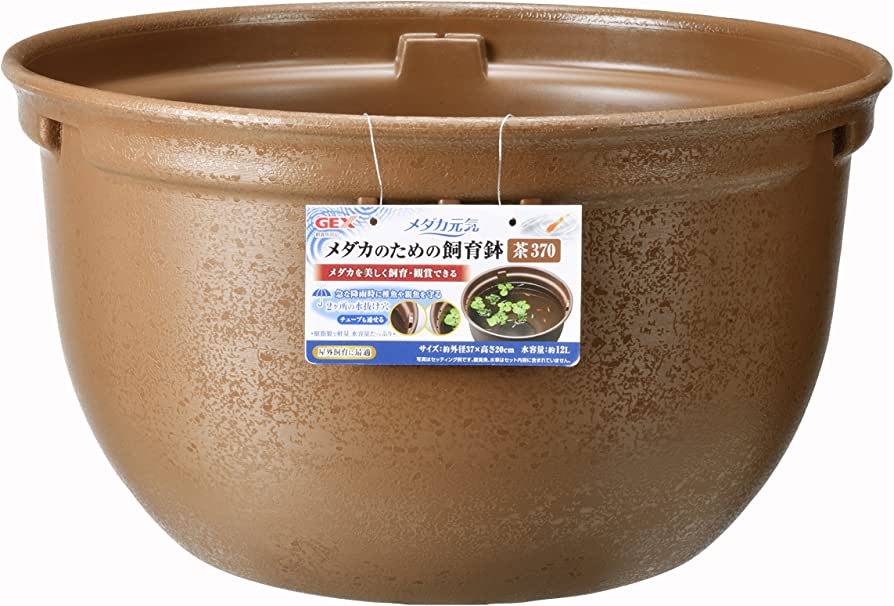 GEX Medaka Breeding Pot (Killifish Bowl / 37x20cm)
