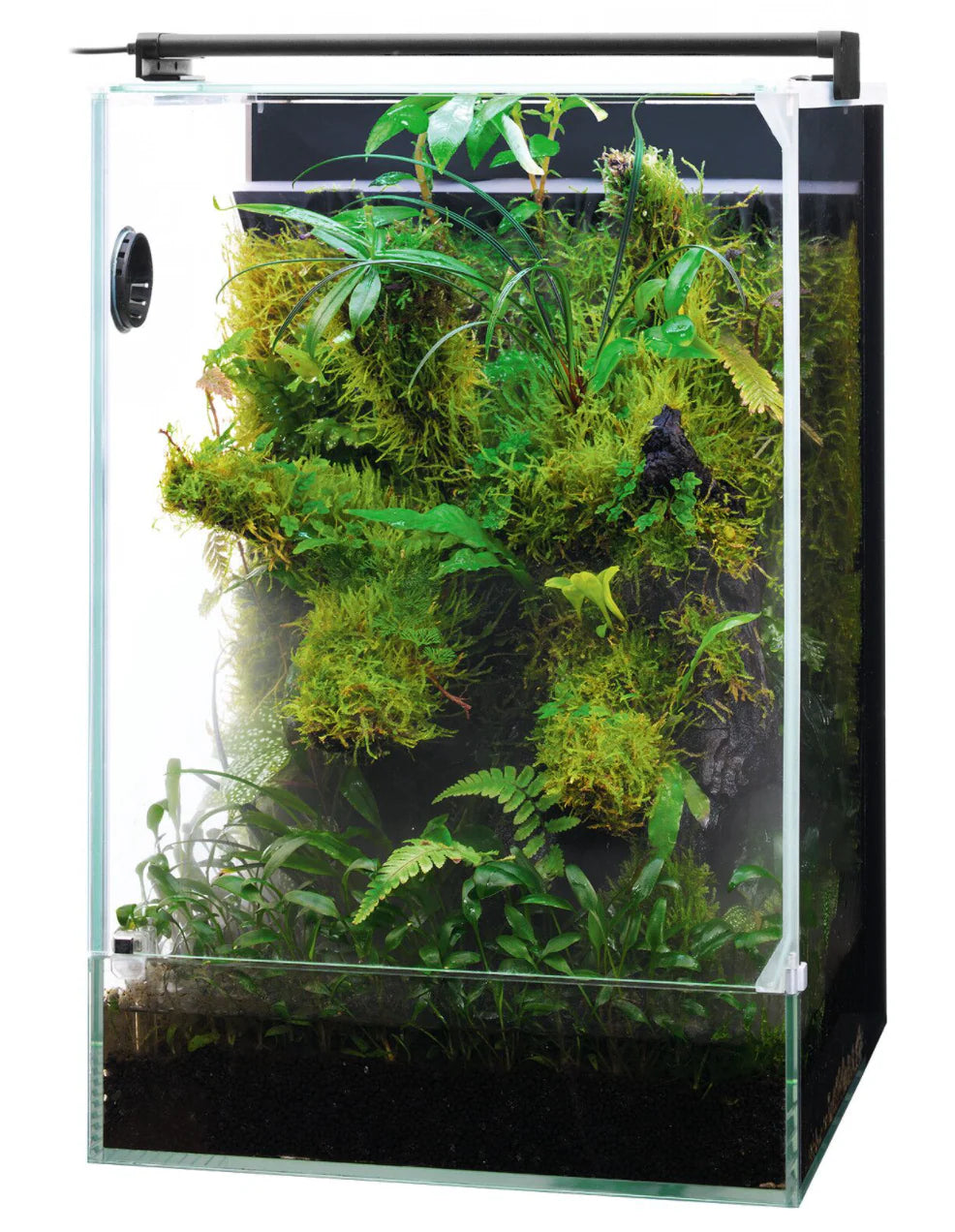 DOOA System Paluda Terrarium Workshop