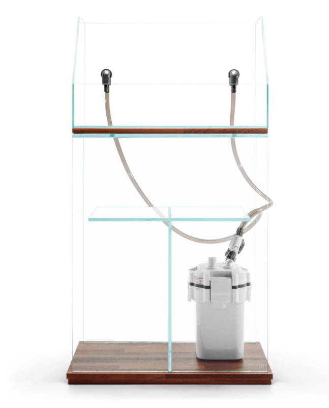 UNS Rimless Paludarium