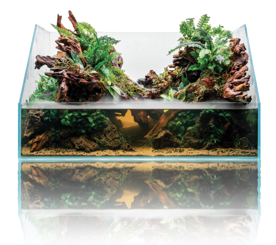 UNS Rimless Paludarium