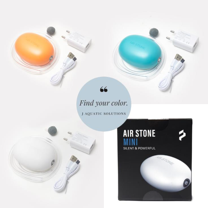 PROFEED Mini Air Stone AC DC Air Pump Random Colours Green Chapter