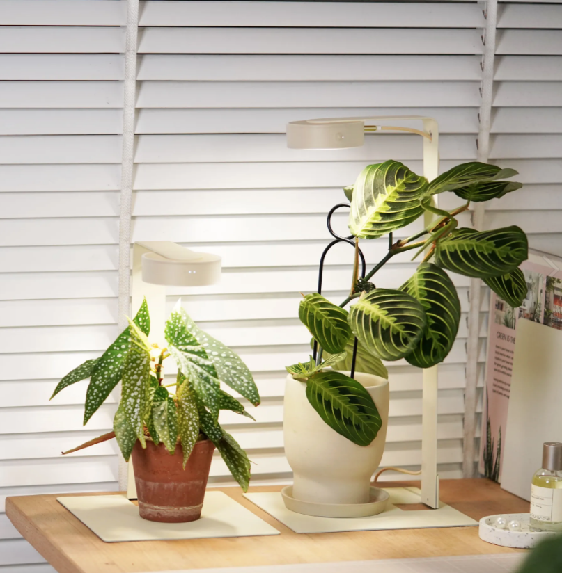 ONF MIST O Stand Kit (Beige)