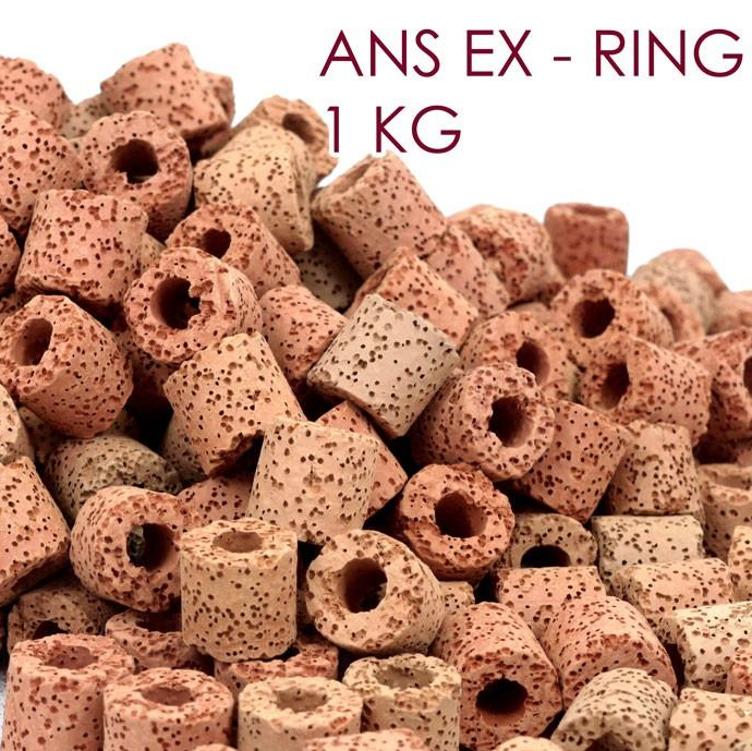 ANS Ex Ring (Red / 1Kg)
