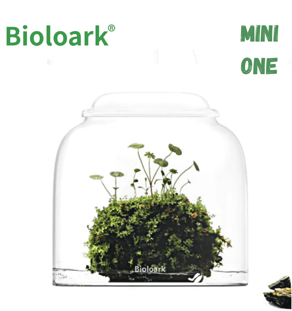 BIOLOARK LED Glass Jar MINI Series