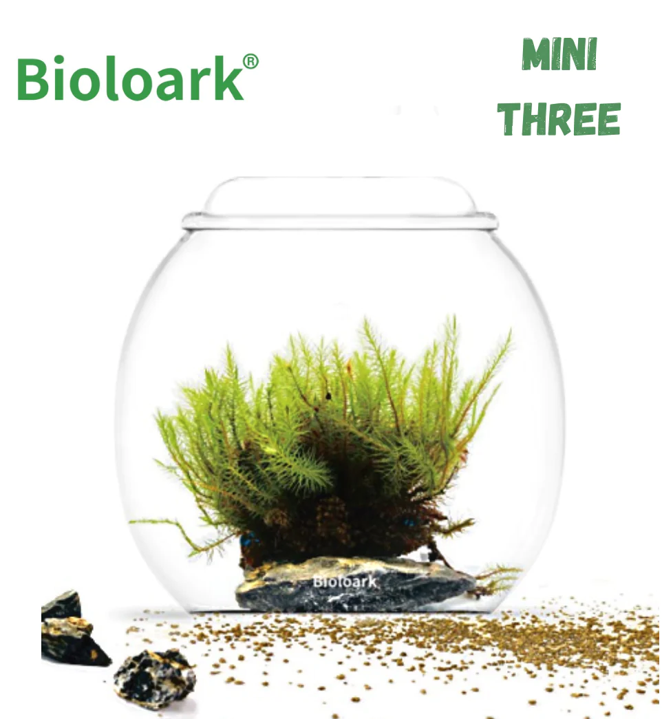 BIOLOARK LED Glass Jar MINI Series