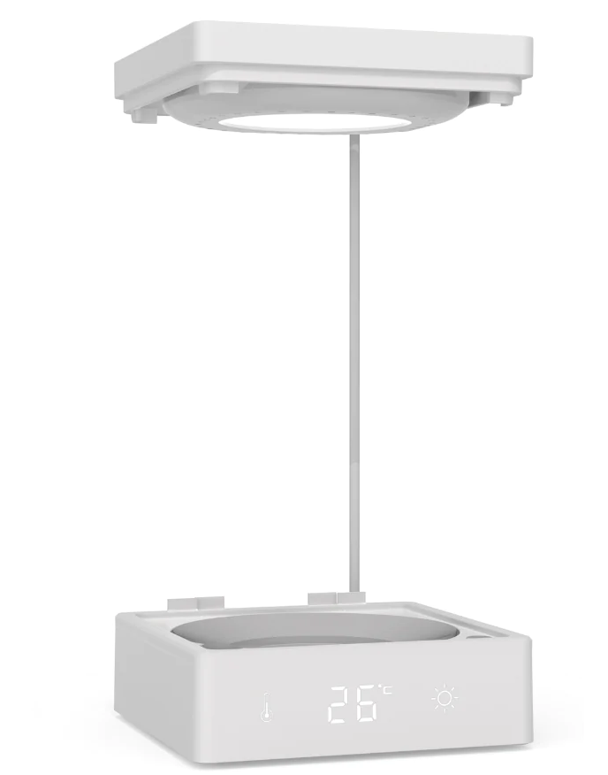 BIOLOARK BT-01 Betta Tank