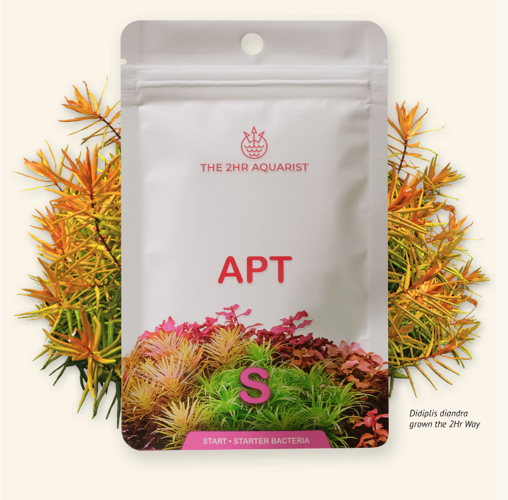 2HR AQUARIST APT START