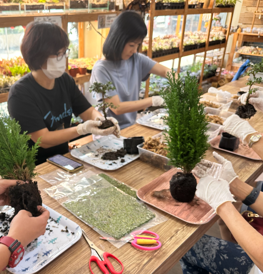 Kokedama Workshop (With Premna Bonsai / Per Pax)