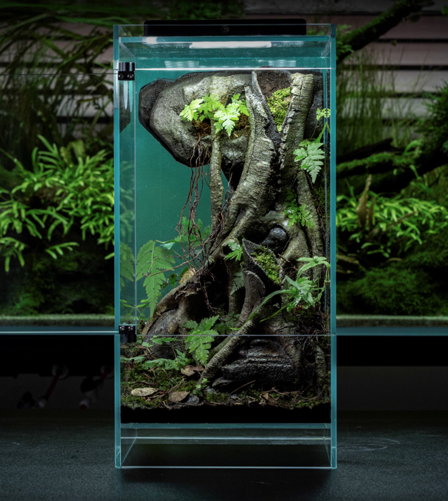Infinity Hylaea Terrarium