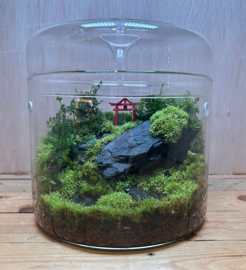 DIORAMA TERRARIUM - Shrine Gate (18cm Dew Cup Low)