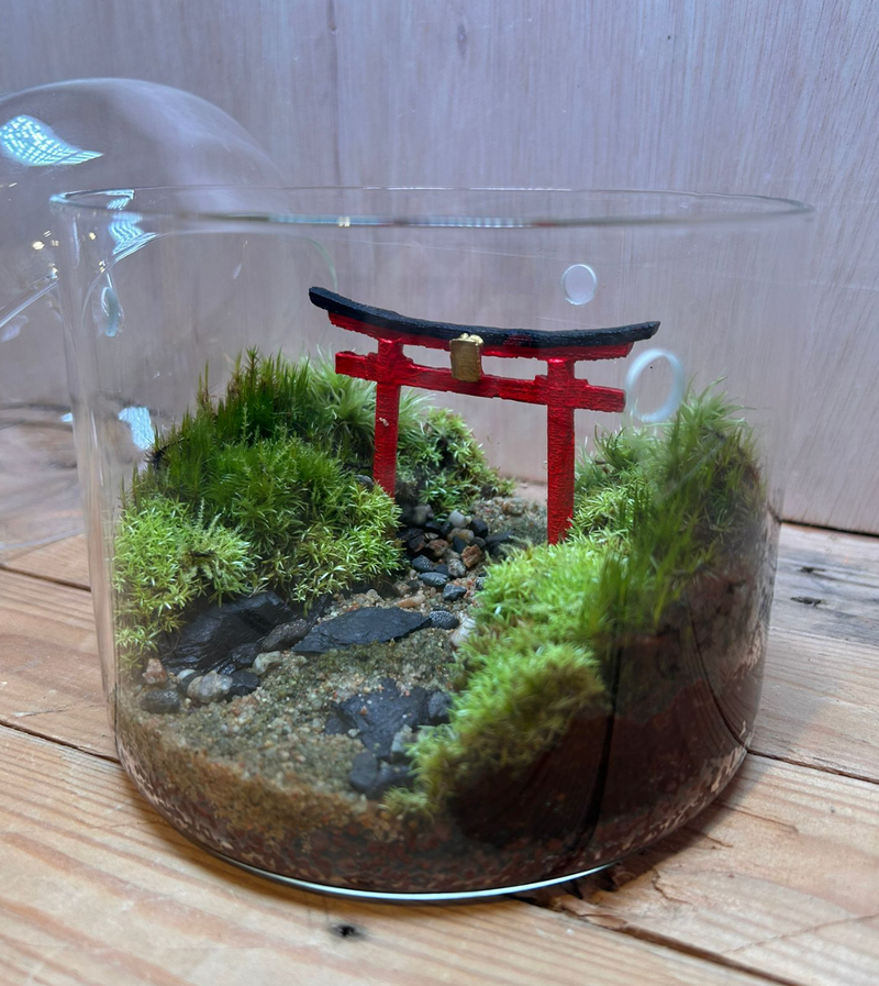 DIORAMA TERRARIUM - Shrine Gate (15cm Dew Cup Low)