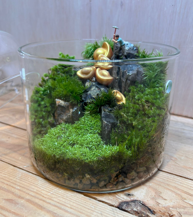 DIORAMA TERRARIUM - Gold Digger (15cm Dew Cup Low)