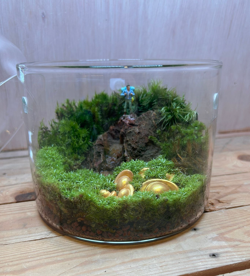 DIORAMA TERRARIUM - Gold Seeker (15cm Dew Cup Low)
