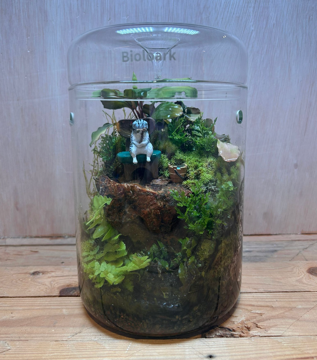 DIORAMA TERRARIUM - Fishing Mr. Cat (15cm Dew Cup High) (Copy)