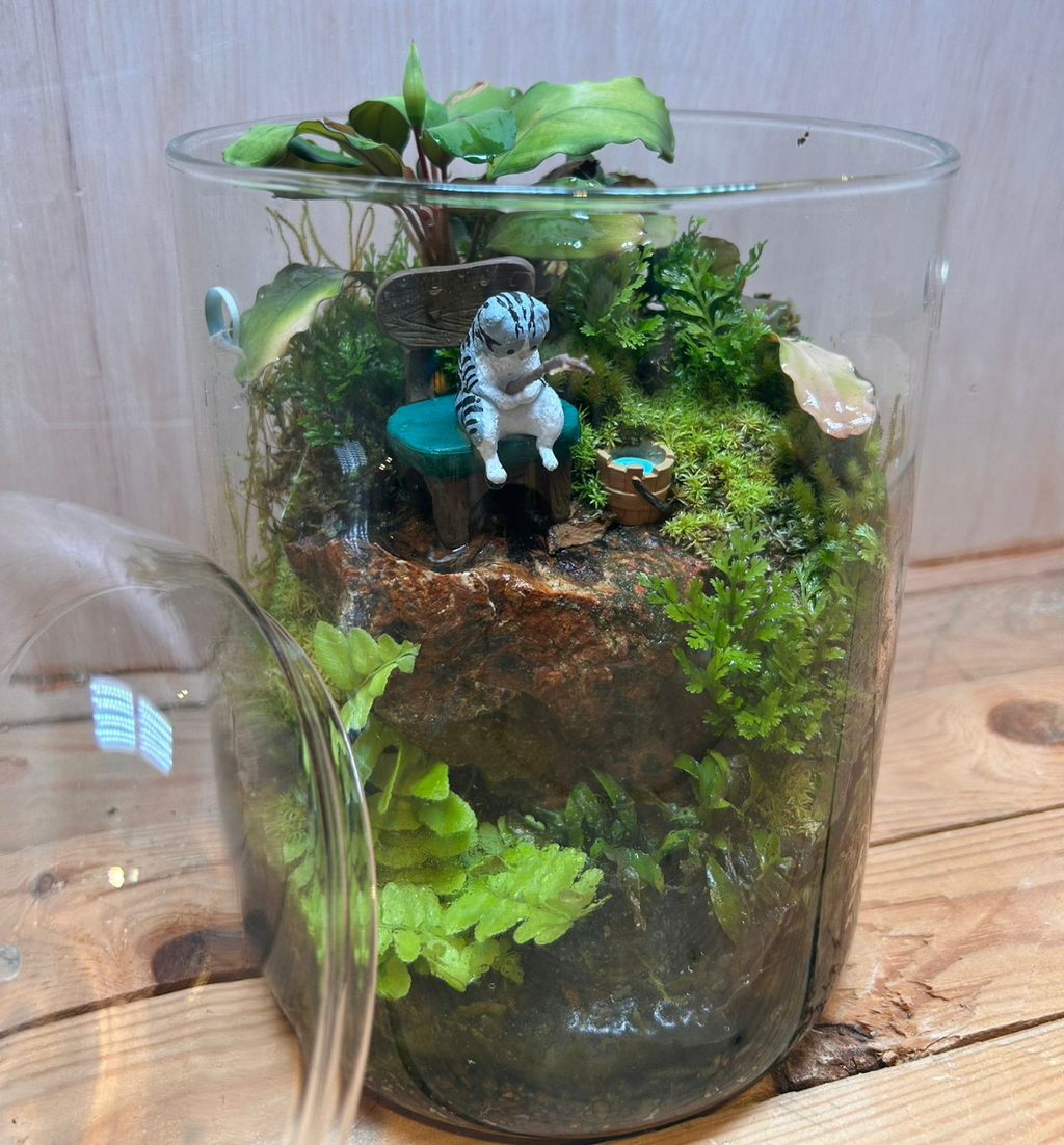 DIORAMA TERRARIUM - Fishing Mr. Cat (15cm Dew Cup High) (Copy)