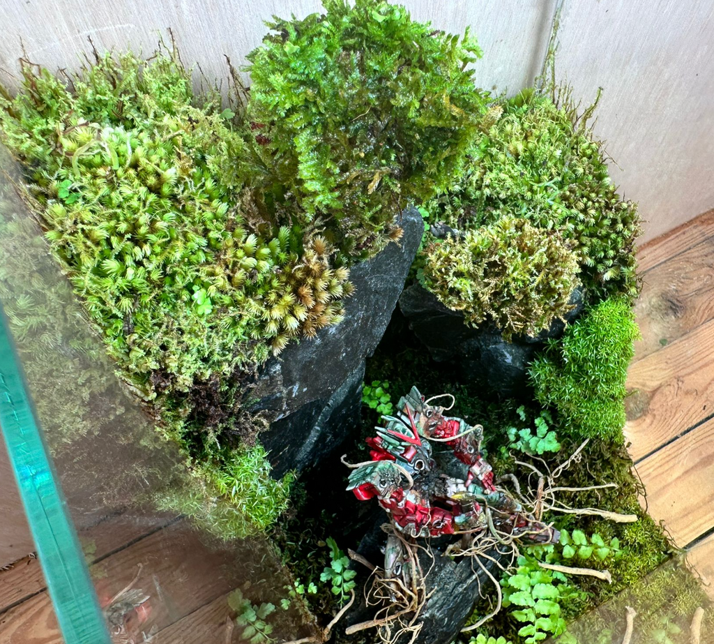 GUNPLA TERRARIUM - Fallen in Style: Astral (20x20x35cm)