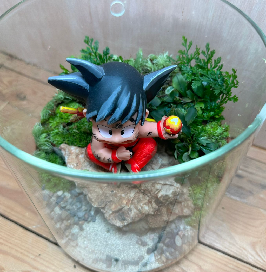 MANGA THEMED TERRARIUM - Kid Goku (15cm Dew Cup High / #A)