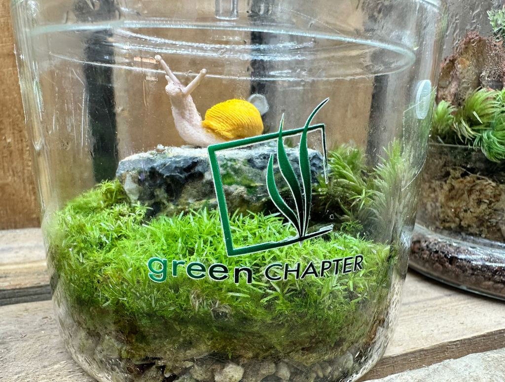 DOORGIFT TERRARIUMS ADDON - Logo Sticker (L 5cm)