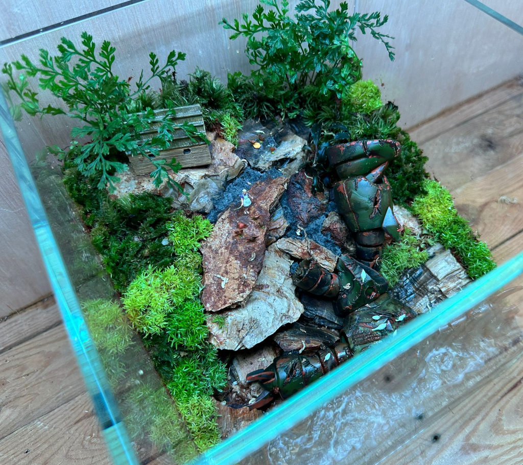 GUNPLA TERRARIUM - After One Year War: Fallen Z'Gok (20x20x20cm)