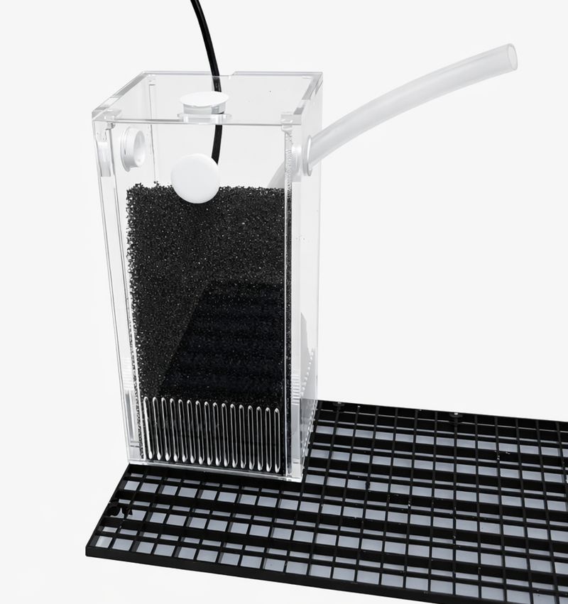 EDENS GARDEN Pump Case Tall (Clear Arylic)