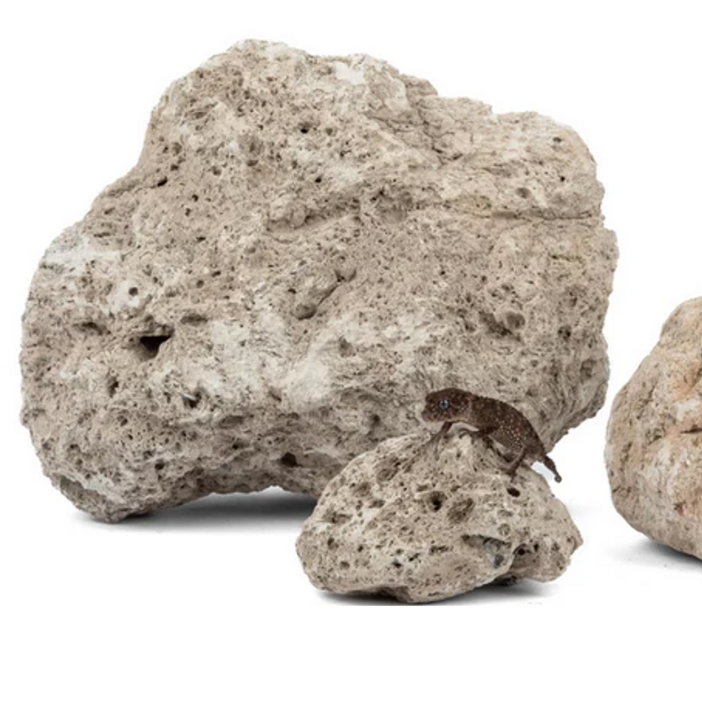Pumice Stones (Large Sizes / Per Pc)