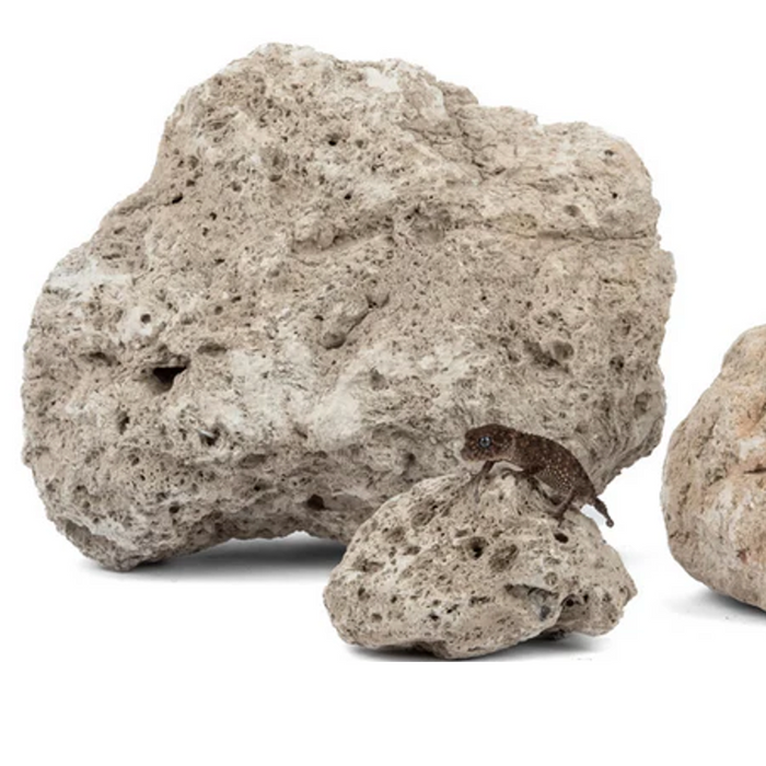 Large Pumice