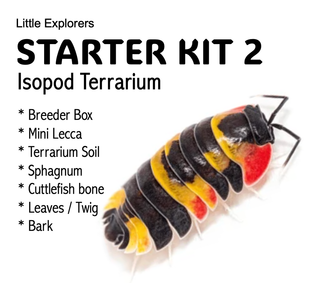 STARTER KIT - Isopod Terrarium (Breeder Box)
