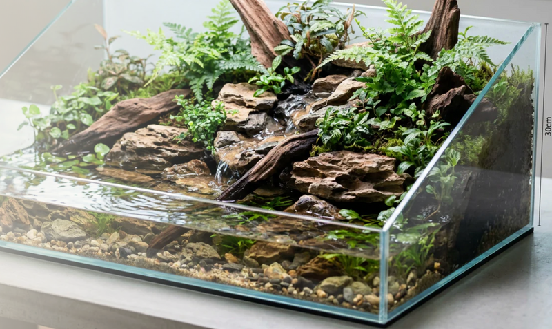 Open Paludarium Workshop