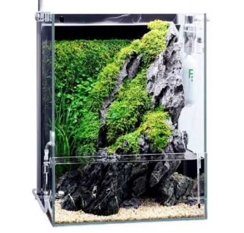 DOOA Integrated Paludarium