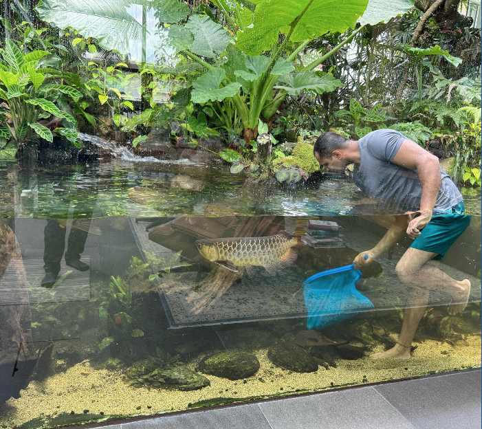 Aquarium Pond Maintenance Services Green Chapter