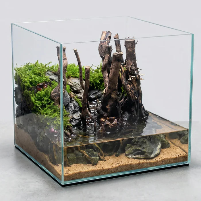 Covered Paludarium Workshop