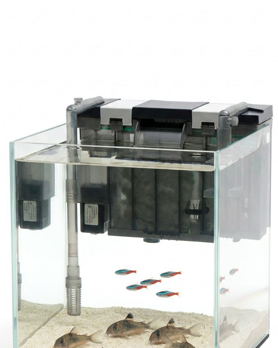 What Filter Fits My Tank?