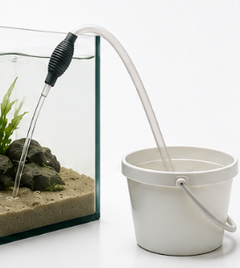 Water Changes
