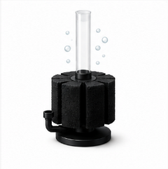 Sponge Filter Care
