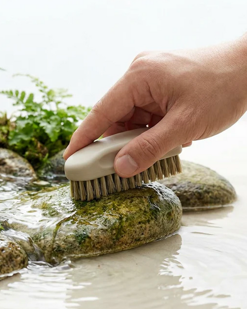 Paludarium Care