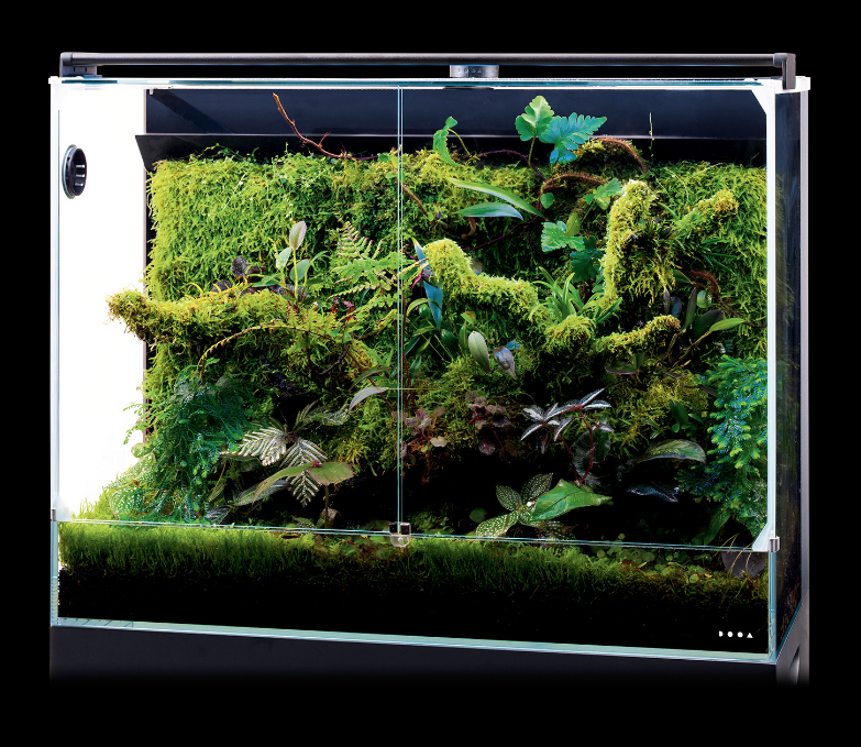 DOOA System Paluda