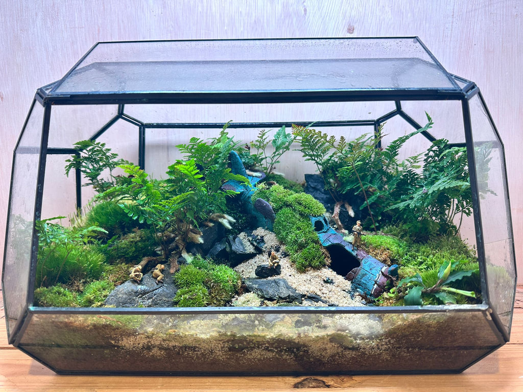 DIORAMA TERRARIUM - Plane Wreck  (Geometric)
