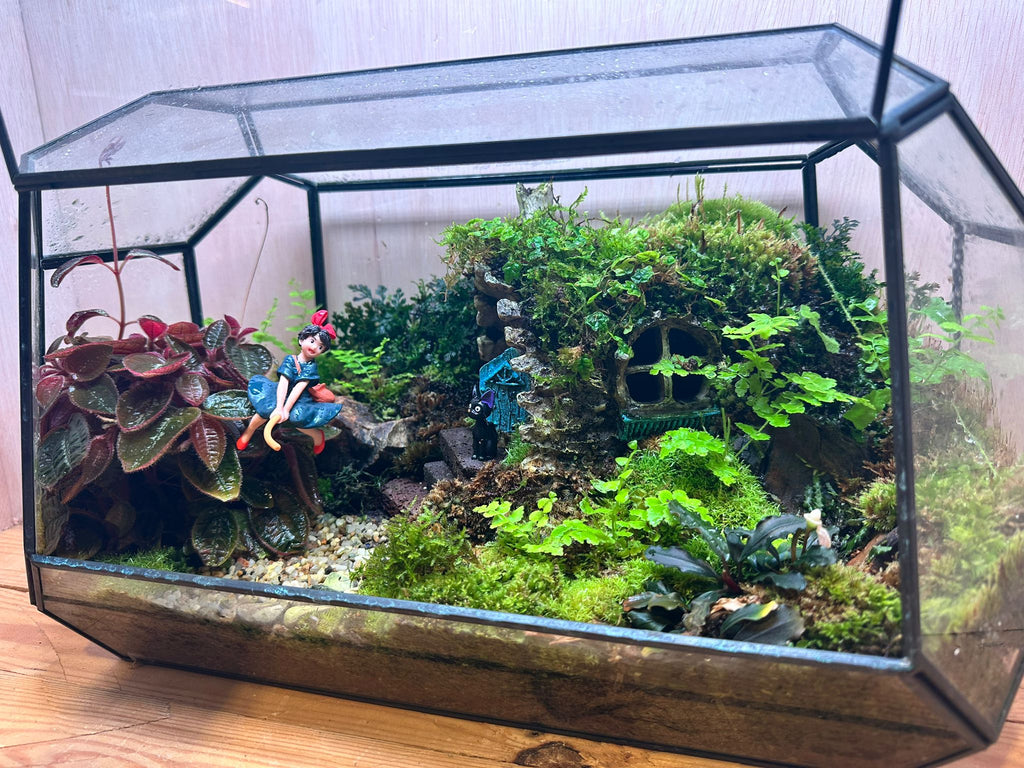DIORAMA TERRARIUM - Taking Off (Geometric)