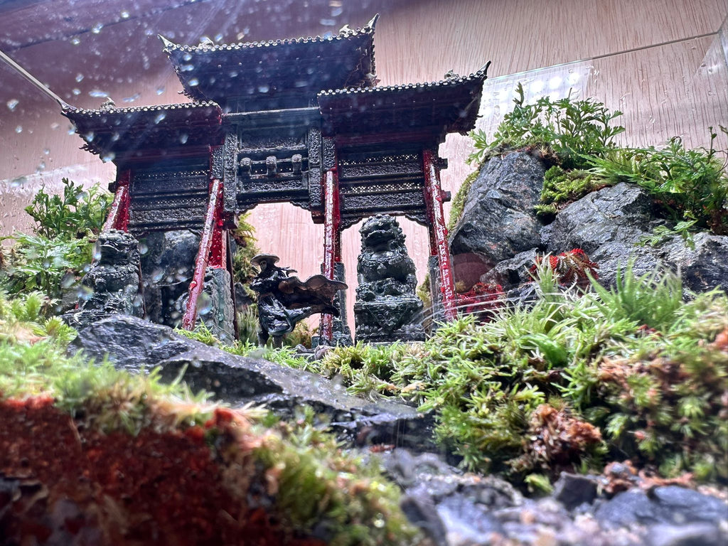 DIORAMA TERRARIUM - Chinese Style (中国风) #1