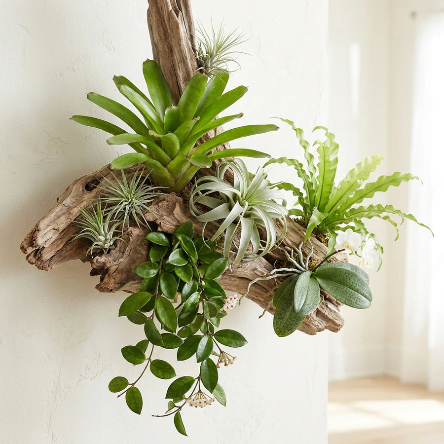 Every Plant Is Different