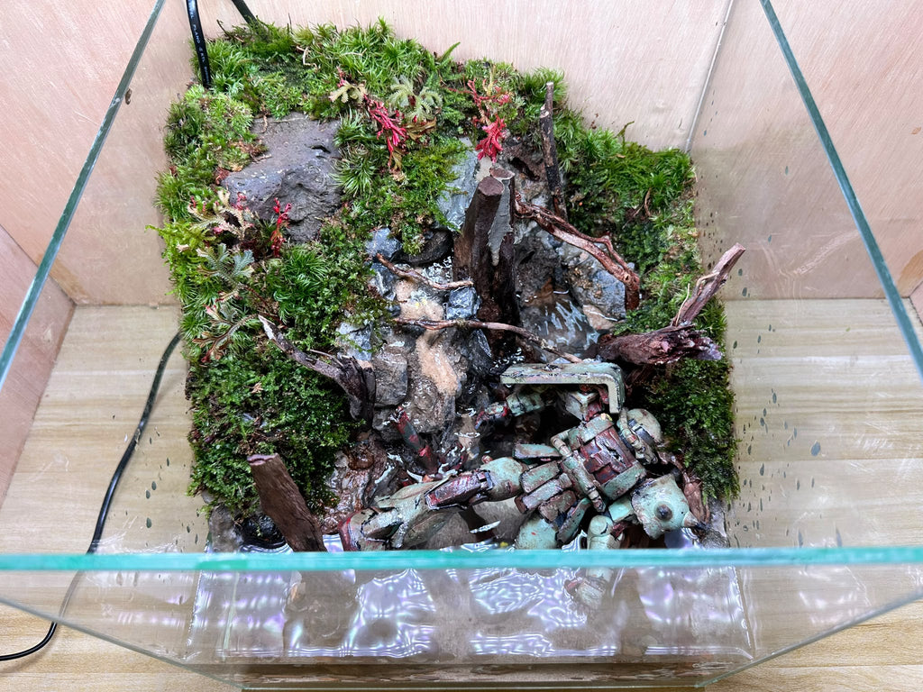 GUNPLA PALUDARIUM - Fallen Zaku (30 x 30 x 30cm)