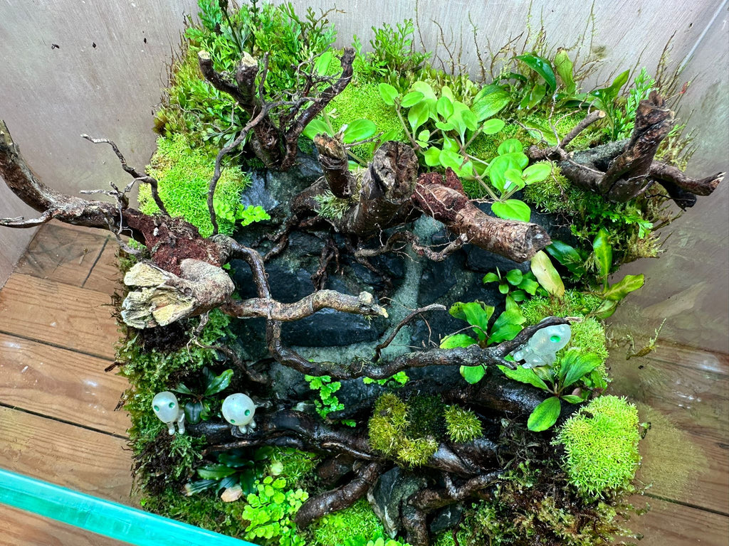 DIORAMA TERRARIUM - Forest Spirit (Skybox 25x25x35cm)