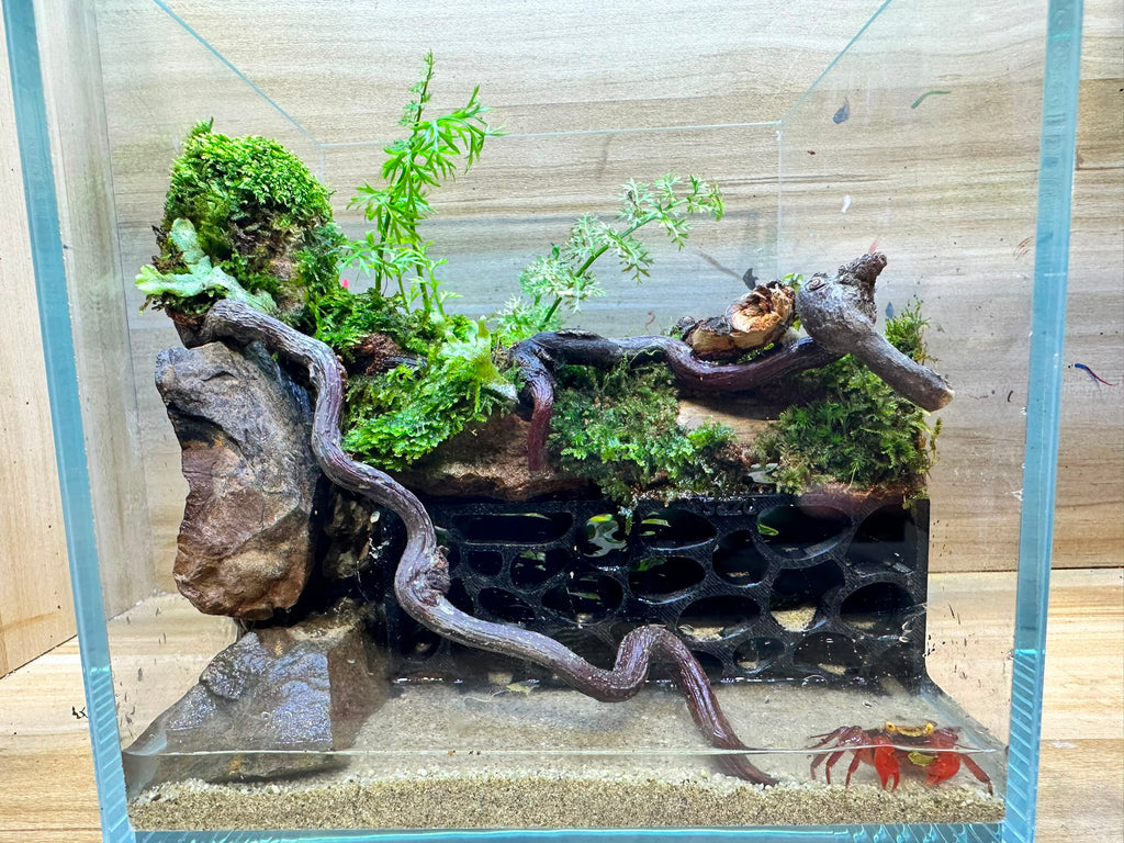 Mini Critter Habitat Terrarium Workshop