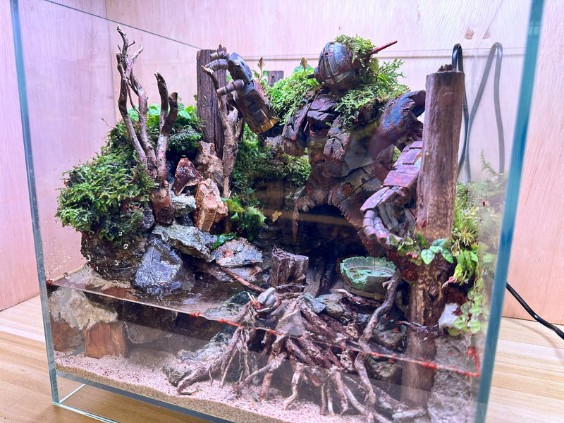 GUNPLA PALUDARIUM - Rusty Zeong (30 x 30 x 30cm)