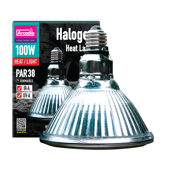 ARCADIA Halogen Heat/Flood Lamp