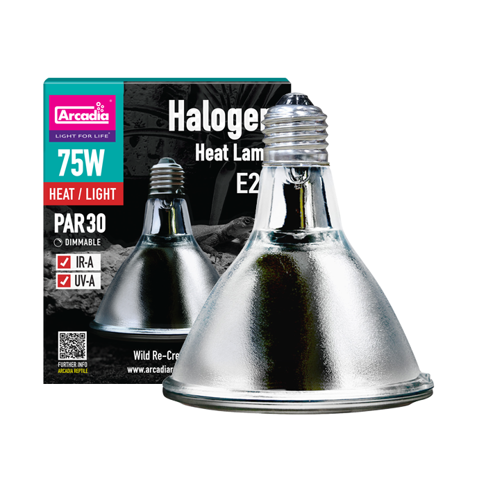 ARCADIA Halogen Heat/Flood Lamp